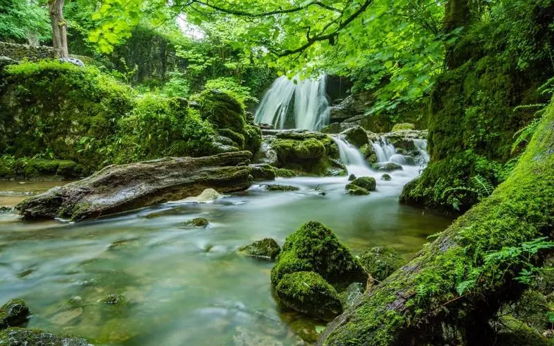 高精度高标准智能系统